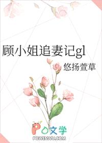 顾小姐追妻记gl封面